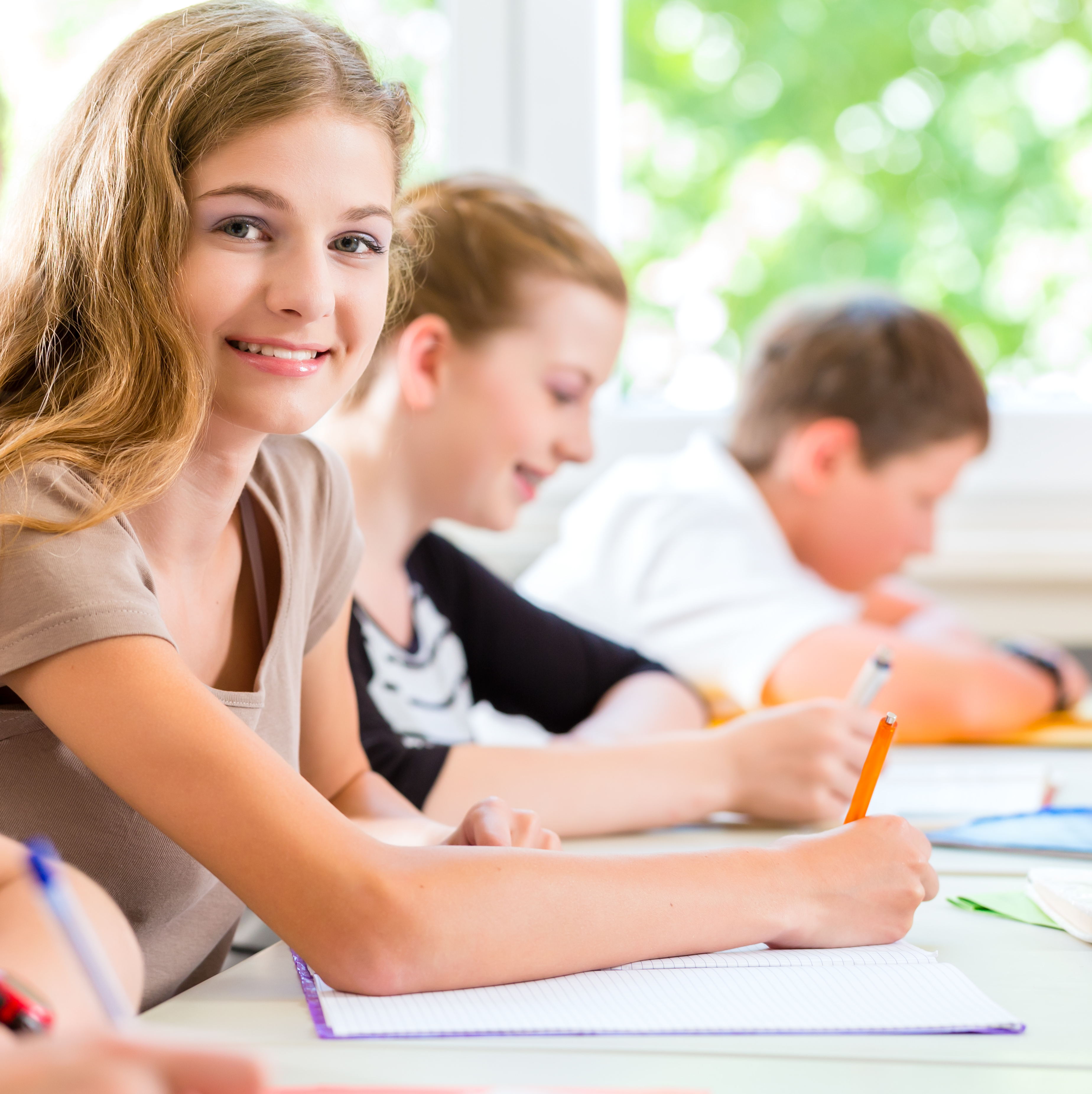Course Offerings Announced!