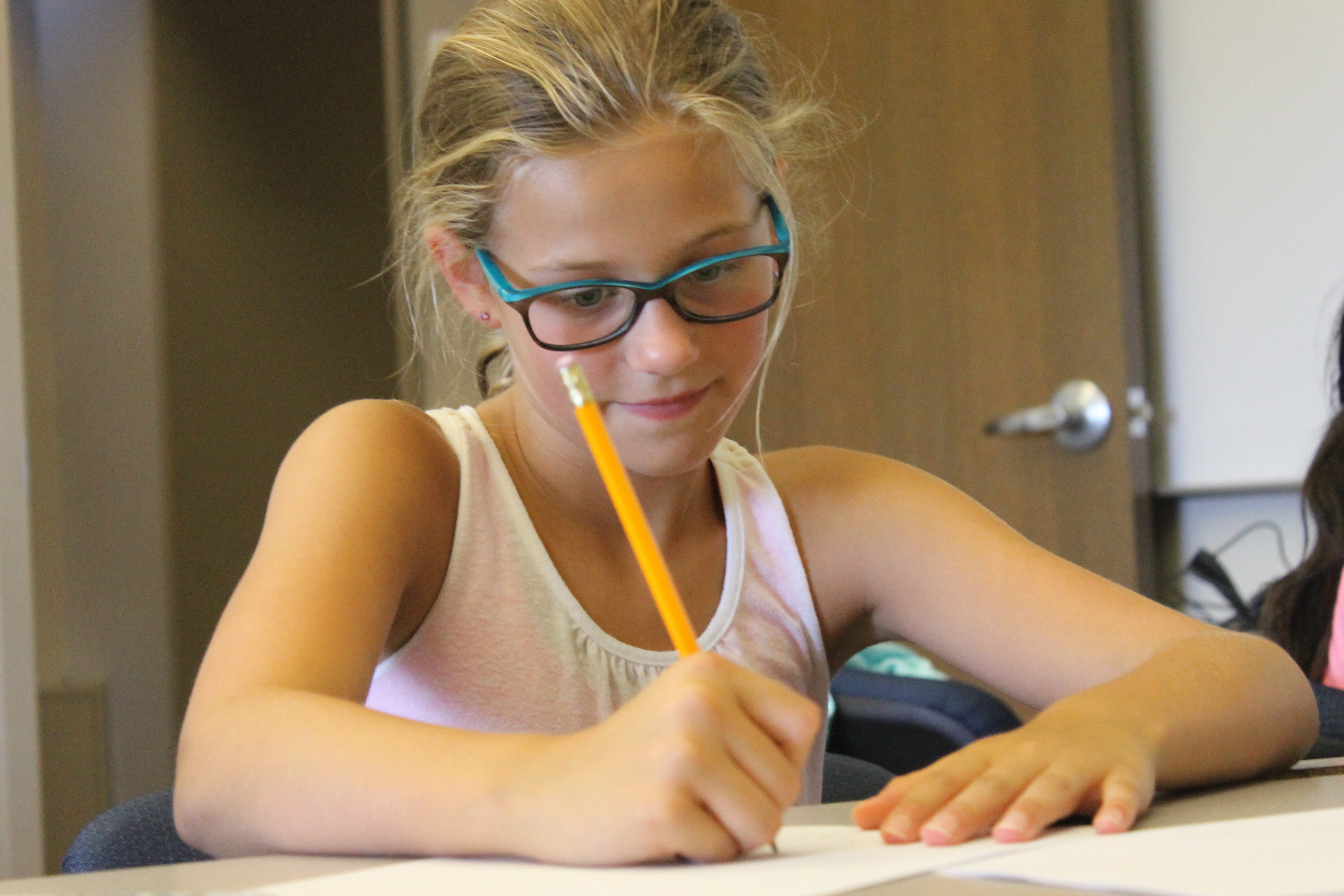 writing summer institute introduction to